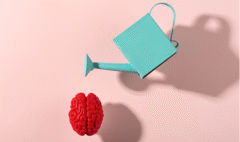 Inteligencia emocional desde el cerebro_fundamentos del neurocoaching para la vida cotidiana