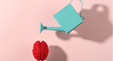 Inteligencia emocional desde el cerebro_fundamentos del neurocoaching para la vida cotidiana